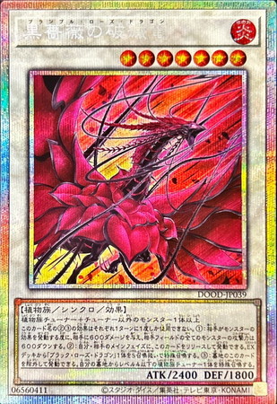 検索結果 | カード買取ならトレカ買取.jp